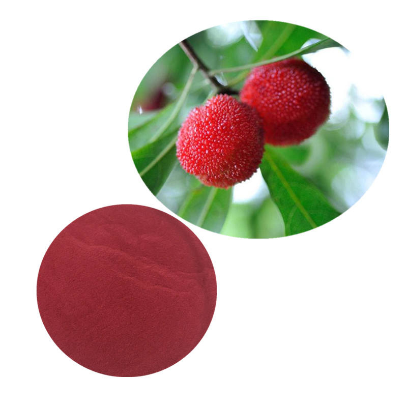 Serbuk Ekstrak Myrica Rubra Serbuk Ekstrak Waxberi Serbuk Ekstrak Bayberry Merah