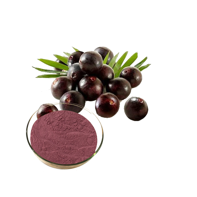 Serbuk Acai Berry